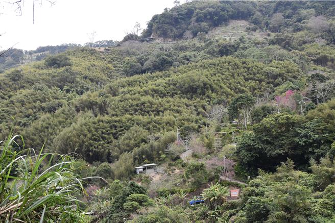 原民会为鼓励原住民涵养水源及水土保持，协助自然生态保育，提供原住民保留地禁伐补偿金。（谢明俊摄）