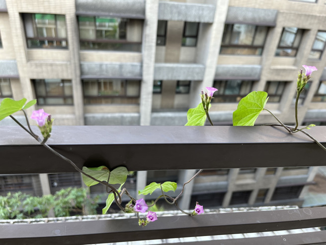 台灣大學前校長管中閔卸任後，經常在臉書分享生活點滴。（圖／翻攝自管中閔臉書）