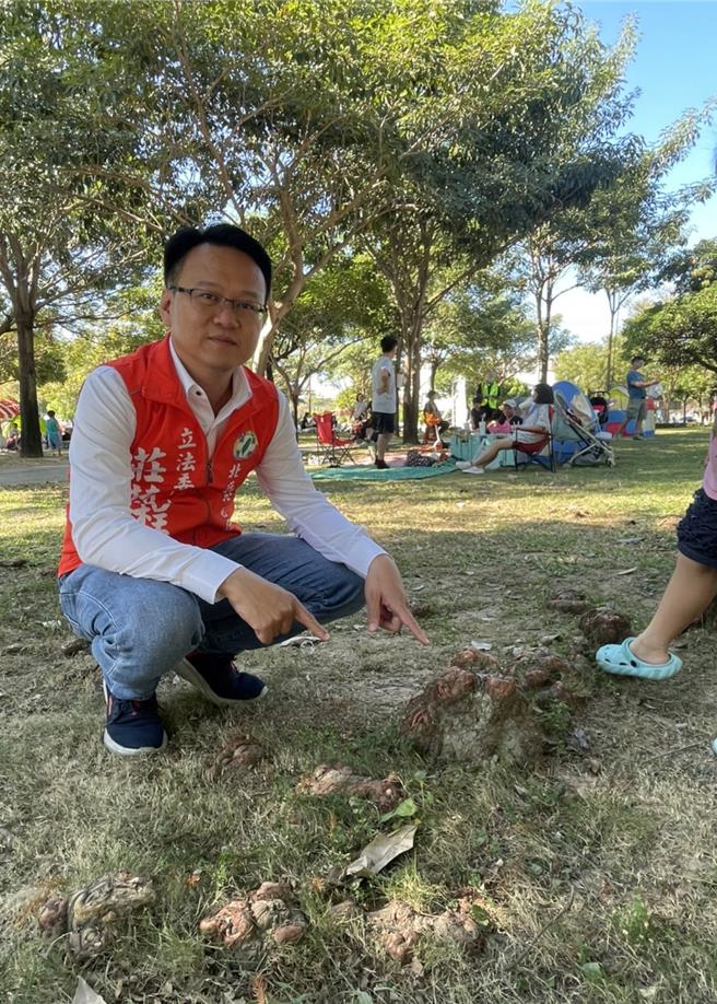 主委庄竞程指出，北屯区南兴公园现场「落羽松」「气根」凸起区，小朋友穿梭其间，危机四伏。（庄竞程提供／冯惠宜台中传真）