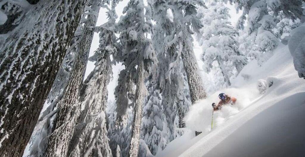 惠斯勒黑梳山滑雪度假村。　圖：卑詩省旅遊局（Blake Jorgenson）／提供
