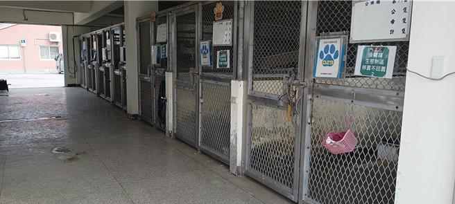 生態中心內設有遊蕩犬專區。（苗栗縣政府提供／李京昇苗栗傳真）