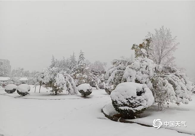 大陆中央气象台6日持续发布暴雪、寒潮、大风3预警，强调此次降雪强度非常强，局部地区如黑龙江会有特大暴雪。（示意图／中国天气网）