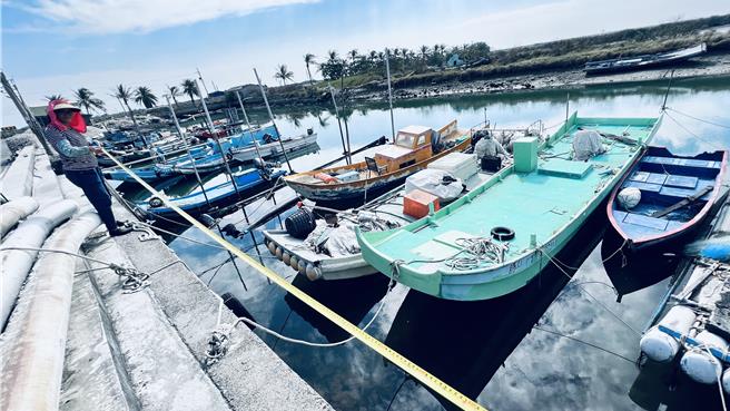 青鯤鯓居民陳麗秋拿捲尺實測，長達8公尺的青山漁港堤岸邊滿滿都是倒立水母。（張毓翎攝）