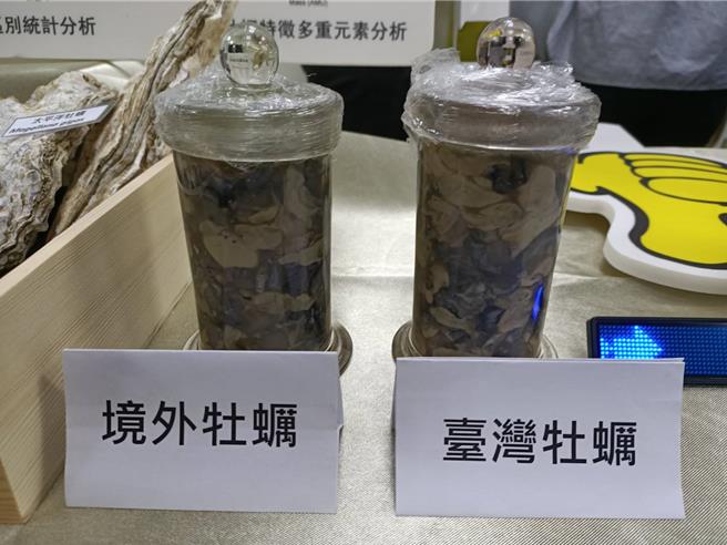 境外牡蛎跟台湾蚵外型难以分辨(简立欣摄)