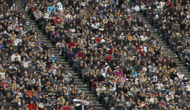 日本职棒球迷。（美联社资料照）