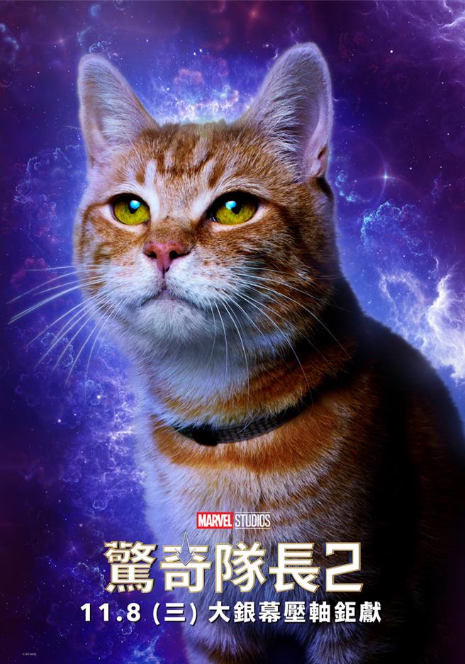 呆头鹅再次现身《惊奇队长2》，萌翻大眾。（漫威影业提供）