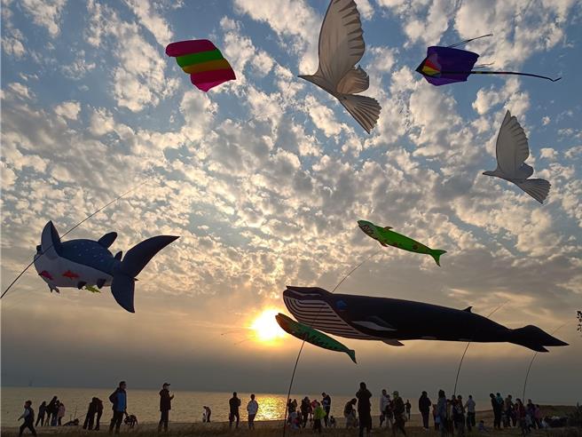 金門首屆離島風箏節將於本月11-12日在烈嶼習山湖公園盛大登場，今年2月初快閃亮相的超巨型鯨魚風箏曾引起民眾熱烈迴響，此次的展演更加令人期盼。（圖／民眾提供）