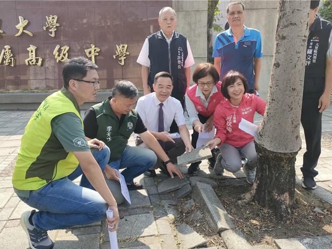 台中市大里区兴大附中与爽文国中是在地重要学区，人口稠密，每日行经车流、人流多，人行道路砖因树木窜根破碎、凸起。（潘虹恩摄）