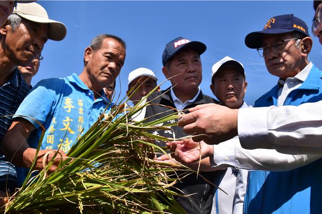 苗栗縣長鍾東錦（中）後龍鎮長謝清輝（右二）立委陳超明（右）日前邀請農業部農糧署官員會勘後龍鎮空包彈稻作災損情形。（謝明俊攝）