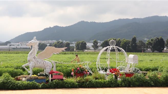 台中新社花海暨國際花毯節將於11日盛大登場。（江啟臣服務處提供）