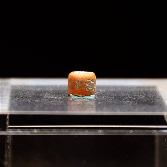 秀林鄉崇德考古遺址出土的千年歷史紅色玻璃珠，經美國芝加哥菲爾德自然史博物館（Field Museum）實驗室研究，發現來源並非東南亞，而是南亞印度一帶。（花蓮縣文化局提供／王志偉花蓮傳真）