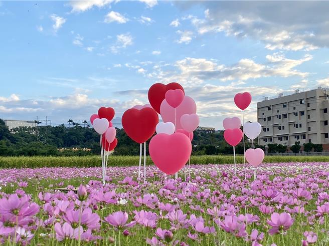 2023桃园花彩节11月11日登场，预估游客眾多大溪警执行交管。(大溪区公所提供／吕筱蝉桃园传真)