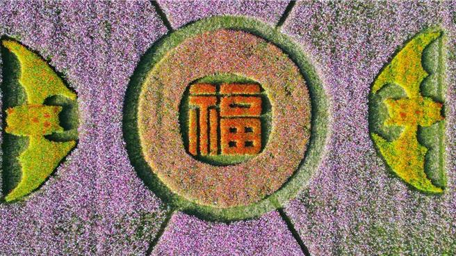 2023桃园花彩节11月11日登场，预估游客眾多大溪警执行交管。(大溪区公所提供／吕筱蝉桃园传真)