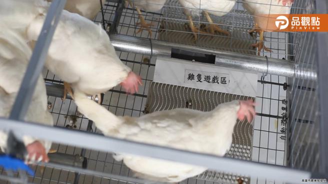 高市輔導提升養雞場經營環境  石安牧場成為友善飼養與循環經濟典範