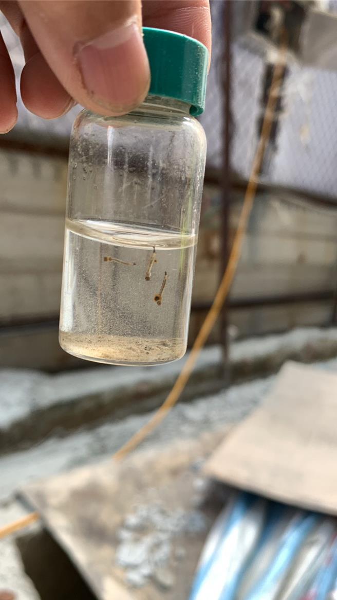 市府防疫團隊採取「孳生源檢查、噴藥滅蚊、擴大疫調採檢」的三合一緊急防治工作。（高市衛生局提供／楊舒婷高雄傳真）