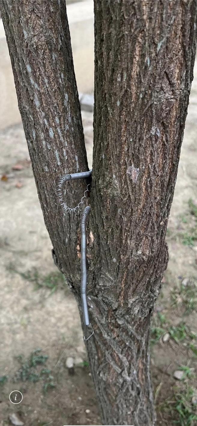 2男童公園玩鐵絲，同學騎車險遭割喉急送醫。(摘自我是平鎮人)