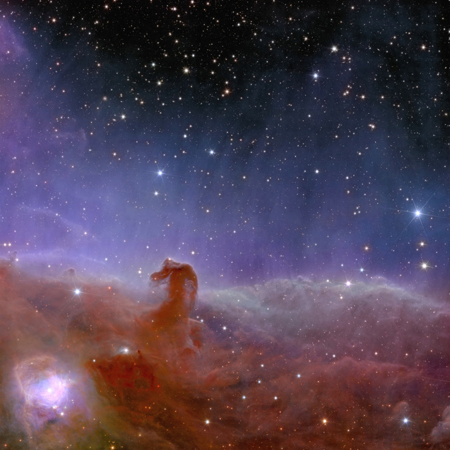欧几里得望远镜捕捉到的猎户座（Orion）「马头星云」（Horsehead Nebula）。（图／路透社、欧洲太空总署提供）