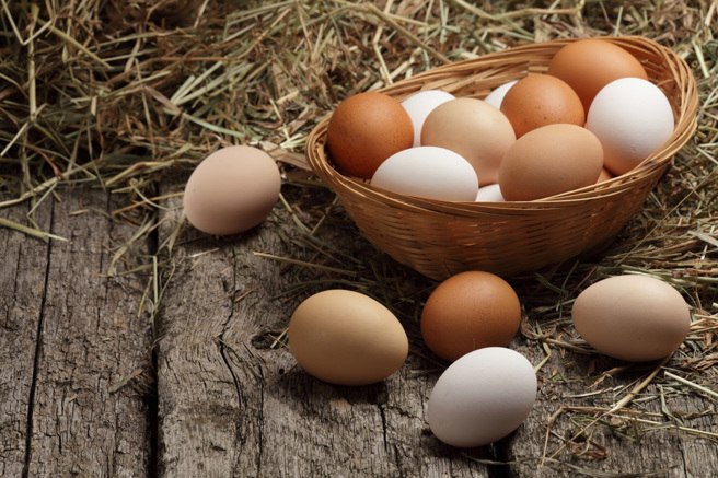 大陸考古團隊在一處西周墓葬中發現一整甕的雞蛋，經過專家考證，這些雞蛋距今約有2800年歷史。(示意圖/達志影像)