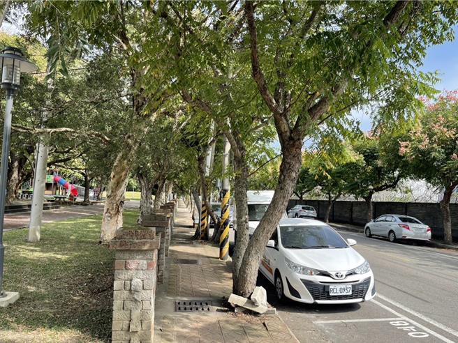 桃园大溪埔顶公园是大溪居民热门休憩地点，人行道年久失修破损，市议员陈治文、养工处、大溪区公所8日会勘，市府将争取中央经费补助施作改善工程。（蔡明亘摄）