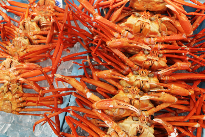 每年11月到3月是松叶蟹产季，日本一间国中的营养午餐竟是每人一只螃蟹。（图／shutterstock）