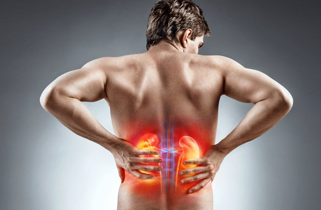 韓國歌手李正日前檢查出罹患腎臟癌，圖為示意圖，與當事人無關。（圖／shutterstock）