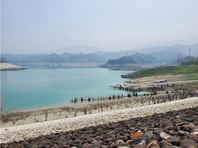 湖山水庫庫區邊緣遺留一些竹林，水位降低時就會浮現。（周麗蘭攝）