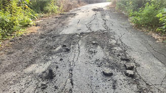 高雄市旗山区三协里里长刘文宝表示，由于附近居民发现该条通往旗亭巷的300公尺产业道路已遭重车压损毁坏，机车骑士都必须熄火后慢慢牵车通过，若非当地居民路经，如不小心加速行驶，后果不堪设想。（林雅惠摄）