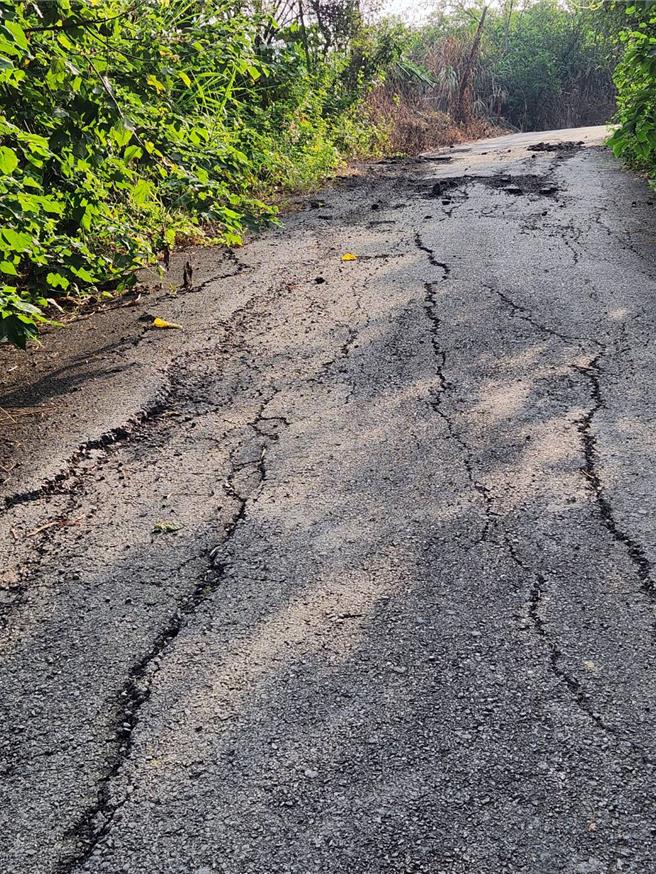 高雄市旗山区三协里里长刘文宝表示，由于附近居民发现该条通往旗亭巷的300公尺产业道路已遭重车压损毁坏，机车骑士都必须熄火后慢慢牵车通过，若非当地居民路经，如不小心加速行驶，后果不堪设想。（林雅惠摄）
