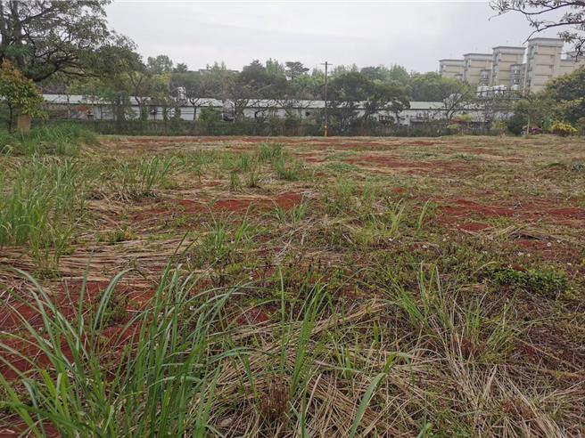 桃市府现在全力筹设大岗高中，大岗高中经校地检讨后将以2.7公顷面积办理，由于目前仍有私人产权约0.8公顷，将以林口都计容积移转代金支应。（桃园市教育局提供／陈梦茹桃园传真）