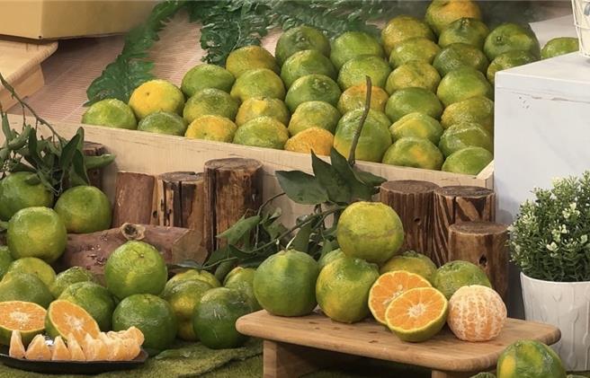 台南青皮椪柑種植面積約901公頃，面積約占全台18.1％，排名第3、產量2萬3970公噸。（台南市政府提供／張毓翎台南傳真）