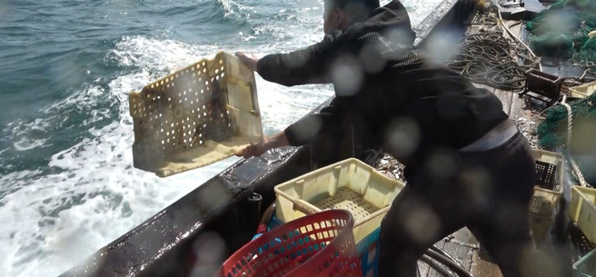 马祖海巡队派遣线上2艘巡防艇前往查处，于东莒大埔澳附近海域发现中国大陆籍「无船名」渔船违规使用拖网捕鱼。（图／海巡署提供）