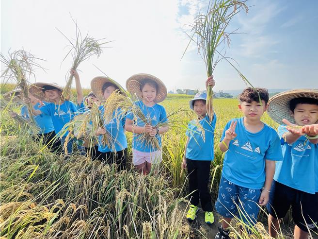 彰化县芬园乡文德国小学生9日下山到田里体验割稻。（文德国小提供／孙英哲彰化传真）