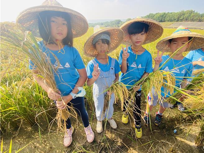 彰化县芬园乡文德国小学生9日下山到田里体验割稻。（文德国小提供／孙英哲彰化传真）