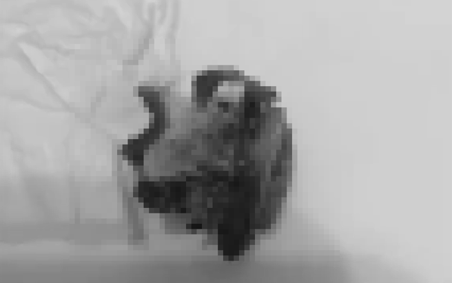 大陆一所小学营养午餐捞到疑似「老鼠头」异物，校方也极力澄清，当天是煮了一道兔子肉料理，爆料家长兔子头误认老鼠头。（图／翻摄自微博）