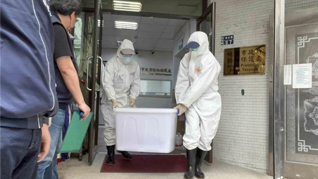 六福村動物園的東非狒狒今年3月從六福村逃脫後，被林姓獵人開槍打死，引起軒然大波。（資料照）