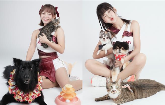 十元（左）、篮篮为公益特别跟毛小孩拍摄年历。 （财团法人流浪动物之家基金会提供）