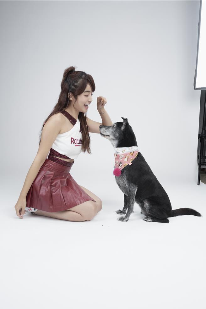 陈伊逗弄可爱浪浪。（财团法人流浪动物之家基金会提供）