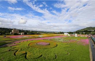 歷年最大8公頃花田 桃園花彩節開幕亮點拍不完