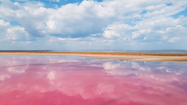 奇利亚水塘国家野生动物保护区的池水呈现罕见的亮粉色，专家表示，此现象可能是乾旱导致。（示意图／达志影像）