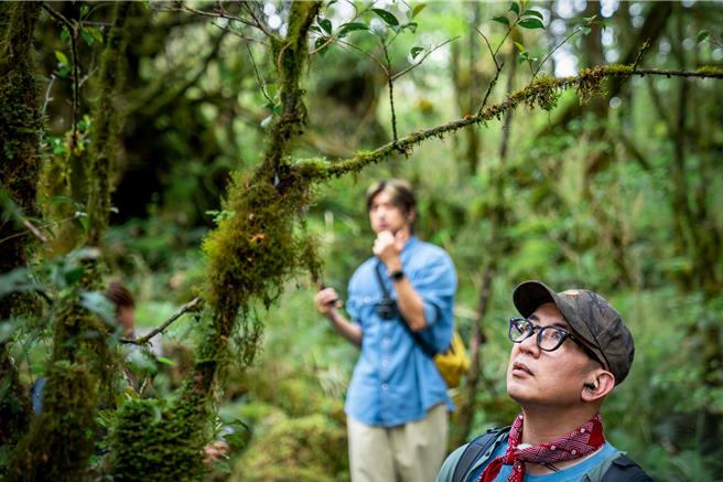 具俊晔细心观察森林里的各种生命。（灰鱼影像提供）