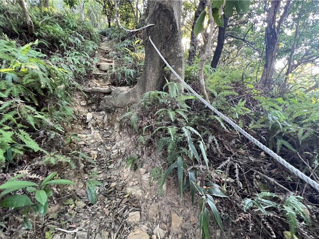 民进党台北市议员林延凤发现，丹凤山前往「真言宗石窟建筑群」必经的步道残破不堪，沿路阶梯老旧斑驳长青苔，沦为中央、地方、私人地主的三不管地带。（林延凤办公室提供／丁上程台北传真）