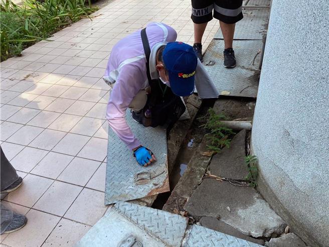 台南市11日新增156例本土登革热确诊病例，累计病例数1万9899例，市府持续加强巡检孳清。（登防中心提供／洪荣志台南传真）