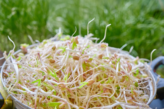 蔬菜界「抗老神器」還能防癌 食用3點要注意