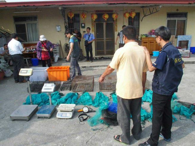 食蛇龟的价格在对岸炒作下水涨船高，猎人们也因此铤而走险，近年走私数量恐超过10万只。（图／报系资料照）