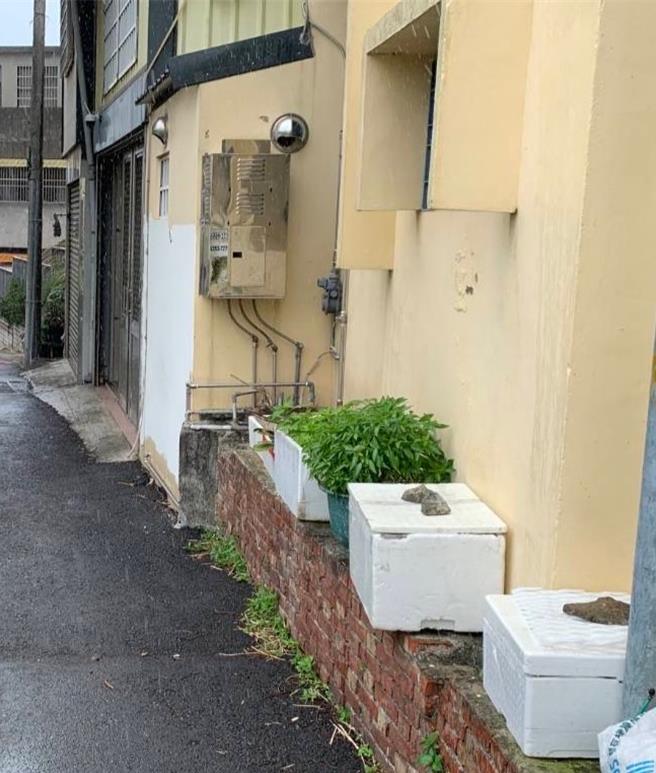 被害人在路邊以盆栽方式種九層塔。（民眾提供／李京昇苗栗傳真）