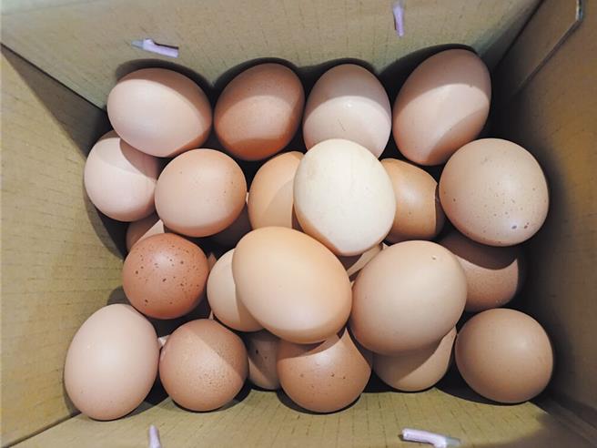 台北市教育局今表示，待卫生局确认畜产会提交资料完整且无问题，基北北桃才会讨论是否开放团膳业者使用液蛋，预估时程是12月初提报到基北北桃平台，最快明年1月初恢復使用液蛋。（本报资料照片）