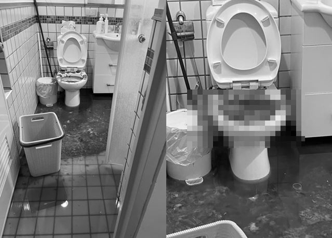 男子发现自家马桶炸了，上网求问「是不是可以找房东来处理？」。（图／翻摄自脸书爆废公社二馆）
