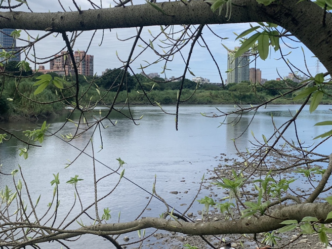 女子陈尸新店溪，新北鑑识中心警方比对DNA资料库，帮她找到回家路。（翻摄画面）