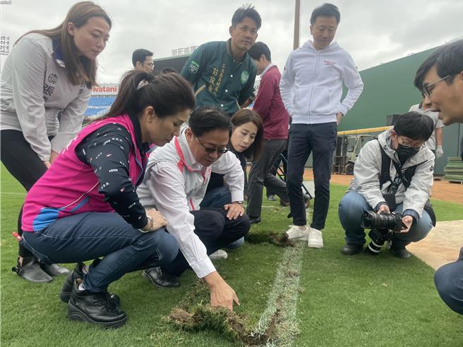 體育署與桃園市政府、樂天球團達成修繕樂天桃園球場共識，將改善排水系統、夜間照明及外野看台，桃園市長張善政（前排左二）13日前往視察草皮移植作業。（呂筱蟬攝）