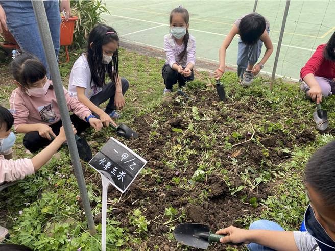 金熊级淡水区水源国小学以班级为单位经营各自的校园农场。（新北市环保局提供）